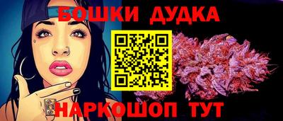сатива Лесосибирск