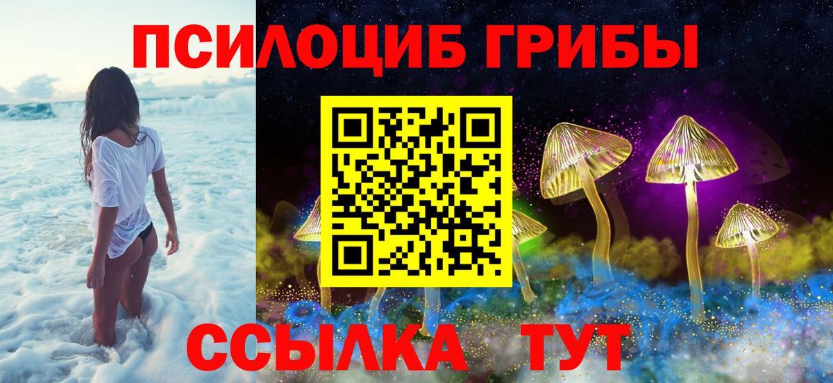 Псилоцибиновые грибы GOLDEN TEACHER Хасавюрт