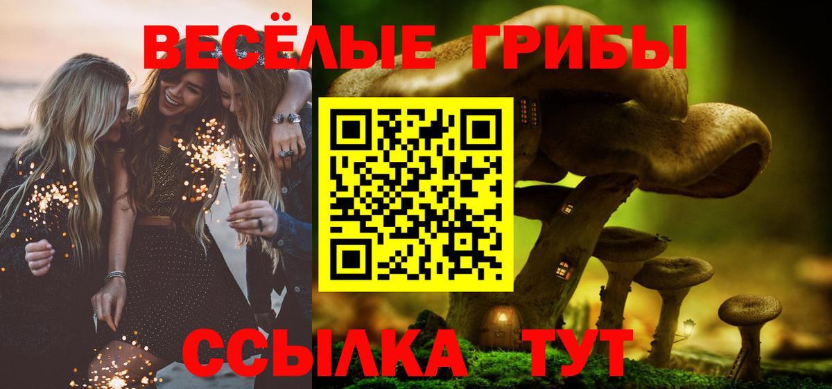 Хасавюрт  Псилоцибиновые грибы Psilocybe  Вход с VPN  Галлюциногенные грибы Cubensis 