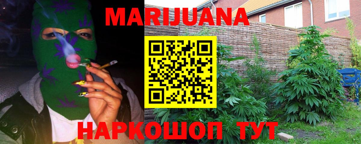 Канабис планчик Хасавюрт
